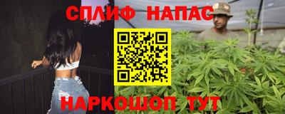 МДПВ Можга