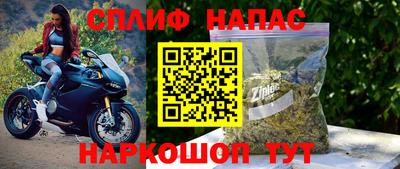 МДПВ Можга