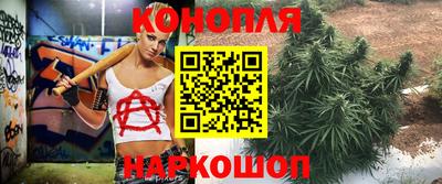 МДПВ Можга