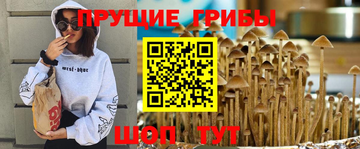 Галлюциногенные грибы MAGIC MUSHROOMS Тайшет